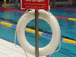 Halle DMM LS